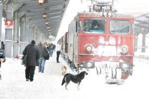 Zeci de trenuri anulate din cauza ninsorilor – Lista completă cu acestea