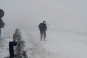 Urgia albă: Drumuri blocate, trenuri suspendate, şcoli închise în mai multe judeţe 