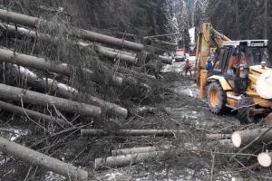 Efecte înregistrate la nivelul judeţului Harghita, aflat sub incidenţa unei avertizări meteorologice COD PORTOCALIU de vânt puternic şi viscol