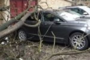 Peste 5.500 de gospodării fără curent electric. Vântul puternic a făcut prăpăd în Timiş