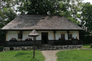 VIDEO Petiţie pentru salvarea muzeului din Bran