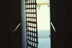 „Tifus în închisoarea din Suceava”