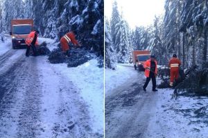 FOTO| Intervenţie a drumarilor din Alba pentru curăţarea copacilor căzuţi pe DN 1R, Transursoaia