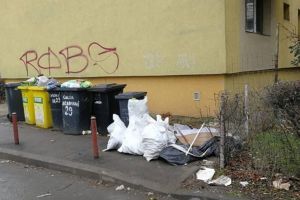 Timişoara murdară! Poliţia Locală amendează căutătorii în gunoaie şi asociaţiile de proprietari