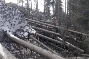 VIDEO: D.N. 12C Lacu Roşu deschis pentru circulaţie pe un singur sens