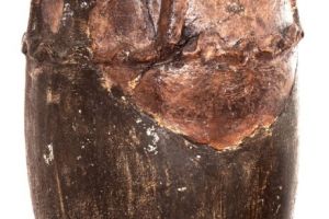 Exponatul lunii februarie la Complexul Muzeal Arad: Vas dacic, descoperit la Zăbrani