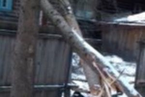 Cursuri suspendate la Școala „Comenius” din Breţcu