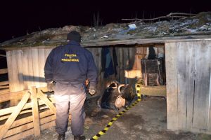 FOTO & VIDEO Ninsoarea l-a ajutat! Cum a reuşit să scape un contrabandist de poliţiştii de frontieră botoşăneni