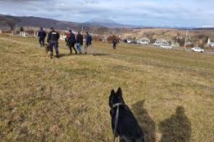 Targu Lapus: Minori de nationalitate franceza, identificati la scurt timp dupa sesizarea disparitiei