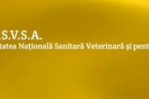 Recomandari ANSVSA pentru protejarea animalelor in perioadele cu temperaturi foarte scazute, vant puternic si caderi masive de zapada