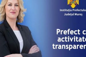 Prefectul Mara Togănel, bilanţul primei luni de mandat