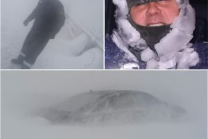 Imaginea zilei. Eroi printre nameti pe vreme de Cod Rosu