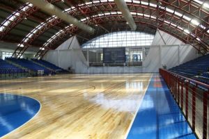 Sala Polivalentă a Sucevei ar putea fi inaugurată cu un meci al echipei de handbal ...