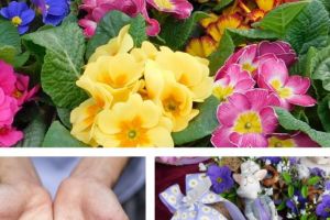 Târgul Miresmelor de Primăvară, la Cristeşti