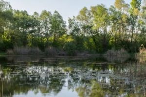 Clujenii cer acces liber în Parcul Est, propus de ei, încă de anul acesta