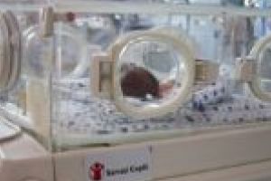 Spitalul din Moldova Nouă, pregătit pentru naşteri premature