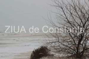 Poezia zilei: Cu sens unic –Irina Lucia Mihalca