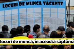 NEAMȚ: 114 NOI locuri de muncă, comunicate în această săptămână