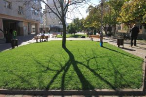 “Oaza de verdeaţă” prinde viaţă cu fonduri europene