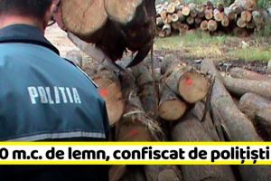 NEAMȚ: Poliţiştii au confiscat peste 1.000 metri cubi de lemn în 2019