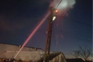 Imagini rar intalnite. Cuib de barza cuprins de flacari in judetul Tulcea   