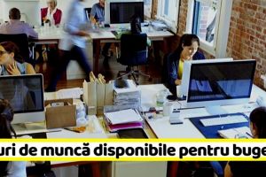 NEAMȚ: Locuri de muncă disponibile pentru bugetari la data de 9 februarie