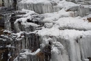 Splendoare în Parcul Naţional Munţii Rodnei