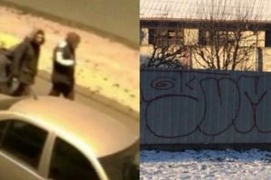 VIDEO FOTO Cinci adolescenţi teribilişti filmaţi când vandalizau un gard de pe strada Gării – Poliţiştii fac cercetări
