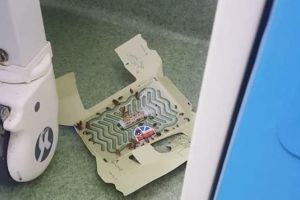 Plin de gândaci în secţia de pediatrie a unui spital din România