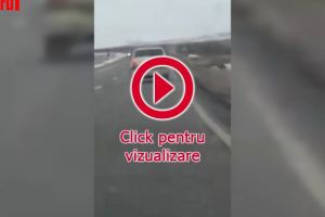 Maşină a MAI, oprită de poliţişti, după ce s-a sesizat că şoferul circulă haotic