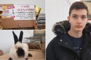 FOTO-VIDEO. Pasiunea unui licean din Vinţu de Jos: Alexandru Vasiu – campion naţional la creşterea iepurilor de rasă