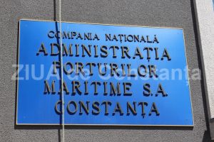 Declaratie de avere - Andra-Roxana Opreanu, sef birou Relatii Internationale la CN APM SA Constanta (document)
