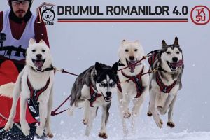 Concursul de sănii trase de câini pe ”Drumul Romanilor”, în 15-16 februarie