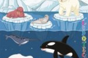 Cărticica pentru prichindei şi copii mai măricei – Arctica şi Antarctica (vizionare)