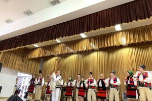 Spectacole cu săli pline şi zeci de artişti din zone diferite ale ţării, în cadrul ...