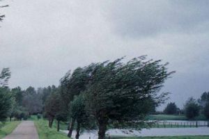 Cod portocaliu de vânt puternic în Mureş şi alte şase judeţe