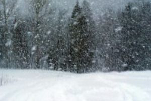 Meteo: Temperaturi minime de 1-4 grade, luni, in Maramures. In zona inalta va ninge