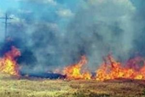 Doi agenţi economici din Timiş amendaţi cu zeci de mii de lei pentru contaminarea apelor şi incendierea deşeurilor