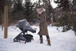 Ce contine un carucior 3 in 1