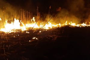 FOTO Incendiu la Sălişte – Au ars două hectare de vegetaţie uscată