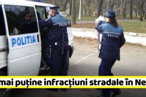 NEAMȚ: Tot mai puţine infracţiuni stradale în Neamţ