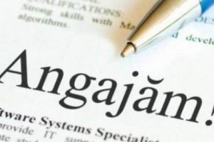 Locuri de muncă în sistemul bugetar din Botoşani. Ce instituţii angajează