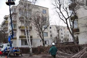 Târgu-Mureş: Start la toaletările de primăvară