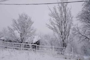 FOTO VIDEO| Peisaje de poveste în Apuseni: Fulgii de nea au acoperit ca o pătură albă zona de munte din Alba