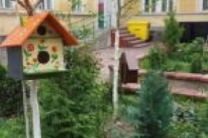 Micii ecologişti! Elevii unei şcoli din Lugoj au propria lor grădină în curtea şcolii