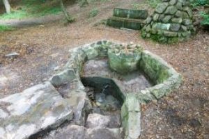 Atenţie! Apa de la izvoarele dinspre Şugaş Băi NU este potabilă!