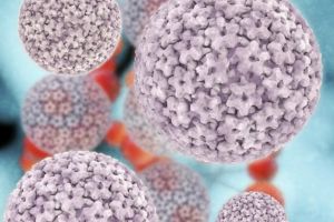 Virusul HPV şi impactul acestuia asupra sănătăţii
