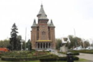 Parcul Catedralei a scăpat de ciori! Soluţia inventivă a lui Nicolae Robu