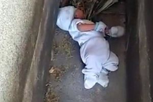 DESCOPERIREA I-A LĂSAT FĂRĂ CUVINTE