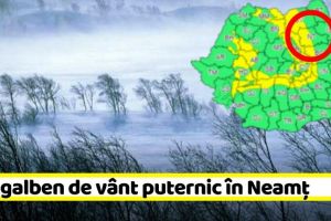 METEO: Cod galben de vânt puternic în zona de munte a judeţului Neamţ